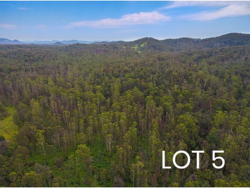 Lot 4 & 5/150 Coates Road, Possum Brush NSW 2430