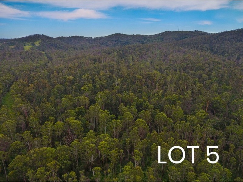 Lot 4 & 5/150 Coates Road, Possum Brush NSW 2430