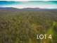Lot 4 & 5/150 Coates Road, Possum Brush NSW 2430