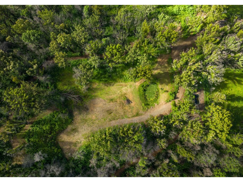 201 Mount Coxcomb Road, Upper Lansdowne NSW 2430