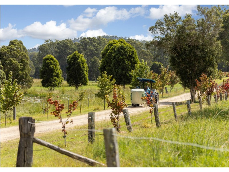 215 Careys Road, Hillville NSW 2430