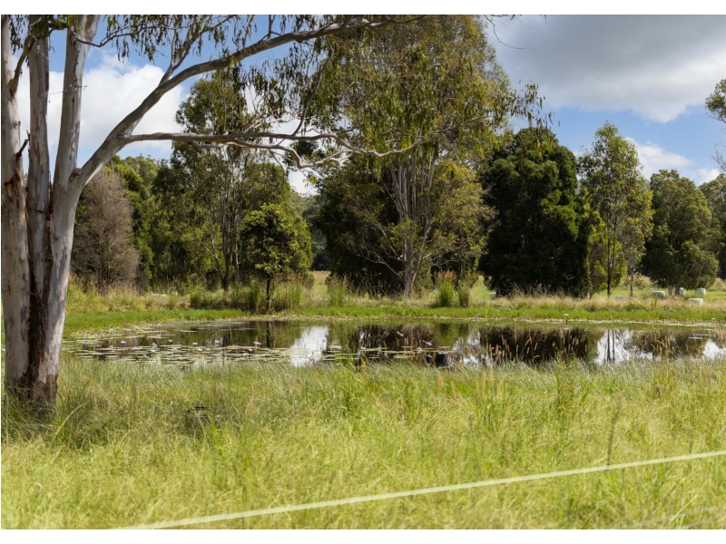 215 Careys Road, Hillville NSW 2430