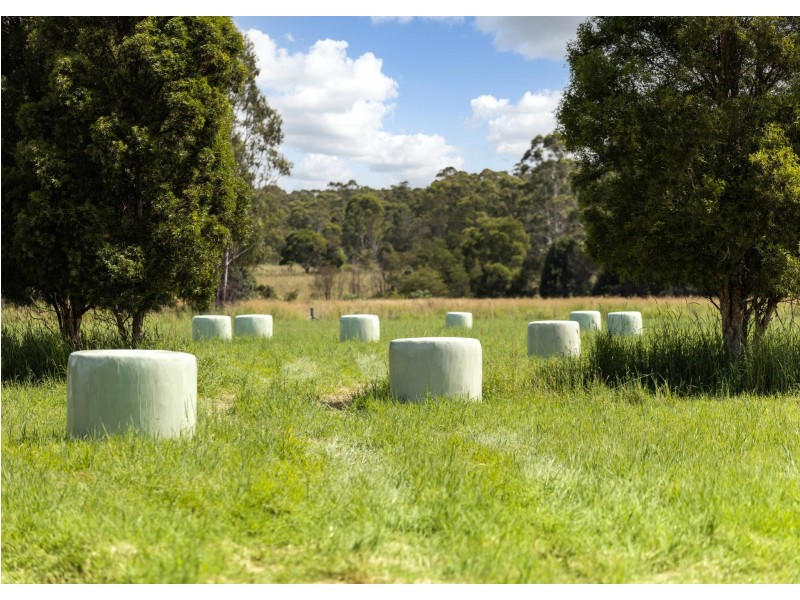 215 Careys Road, Hillville NSW 2430