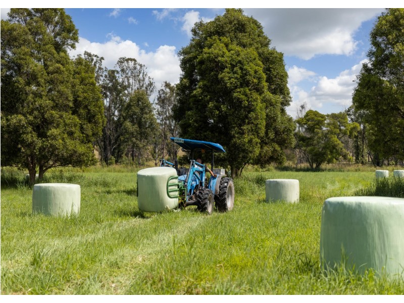 215 Careys Road, Hillville NSW 2430