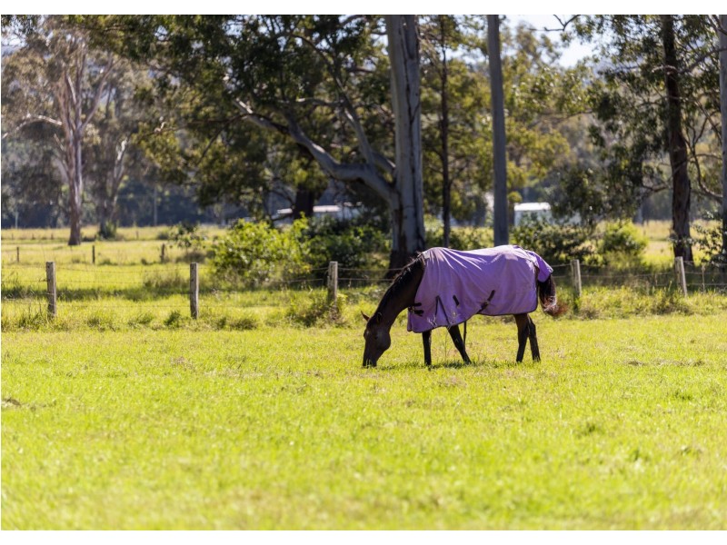 3923 Wallanbah Road, Nabiac NSW 2312