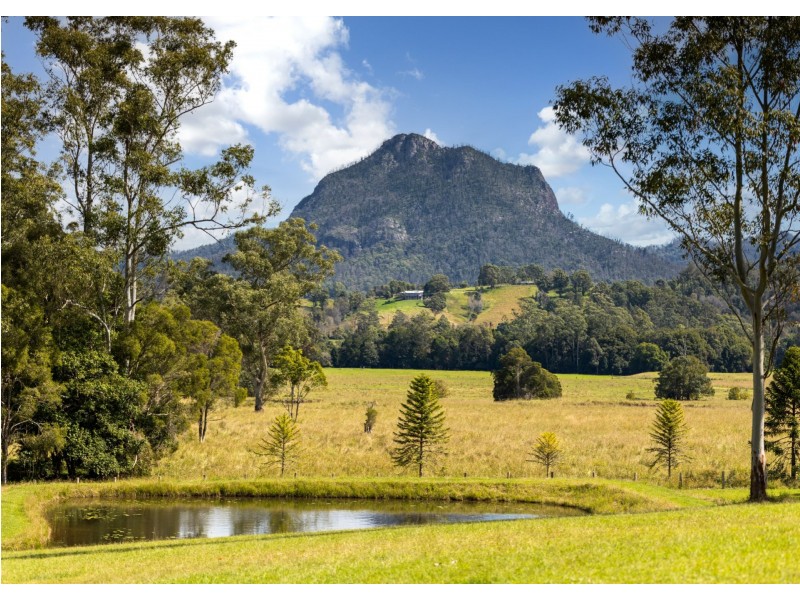 393 Hogans Road, Upper Lansdowne NSW 2430