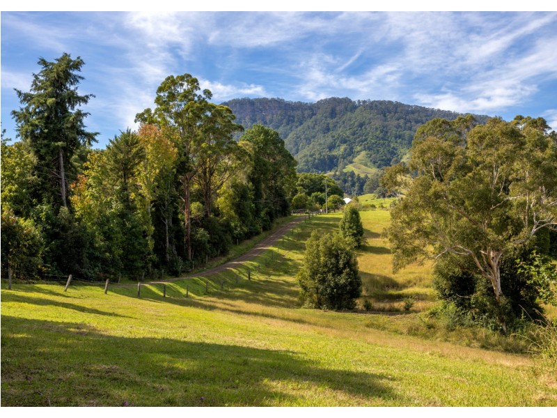 393 Hogans Road, Upper Lansdowne NSW 2430