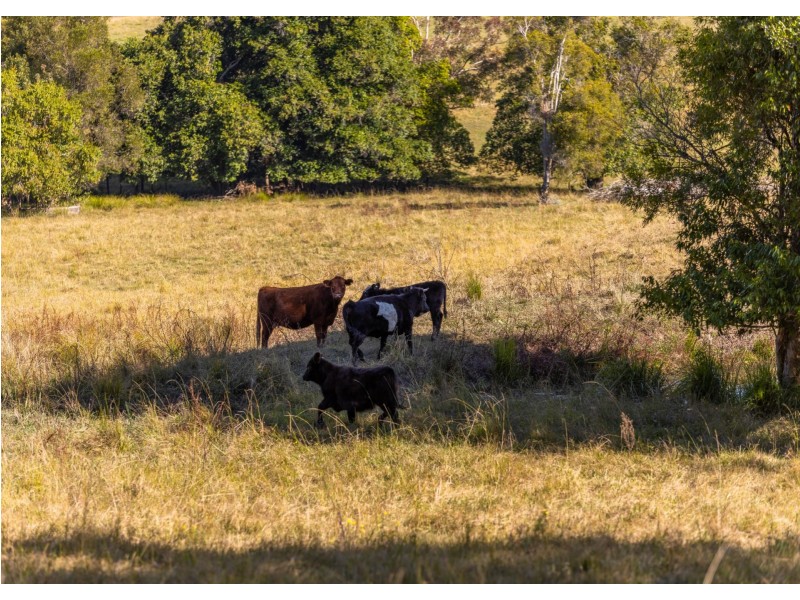254 Fords Road, Moorland NSW 2443