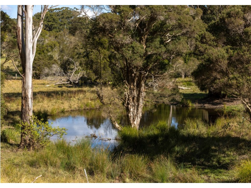 254 Fords Road, Moorland NSW 2443