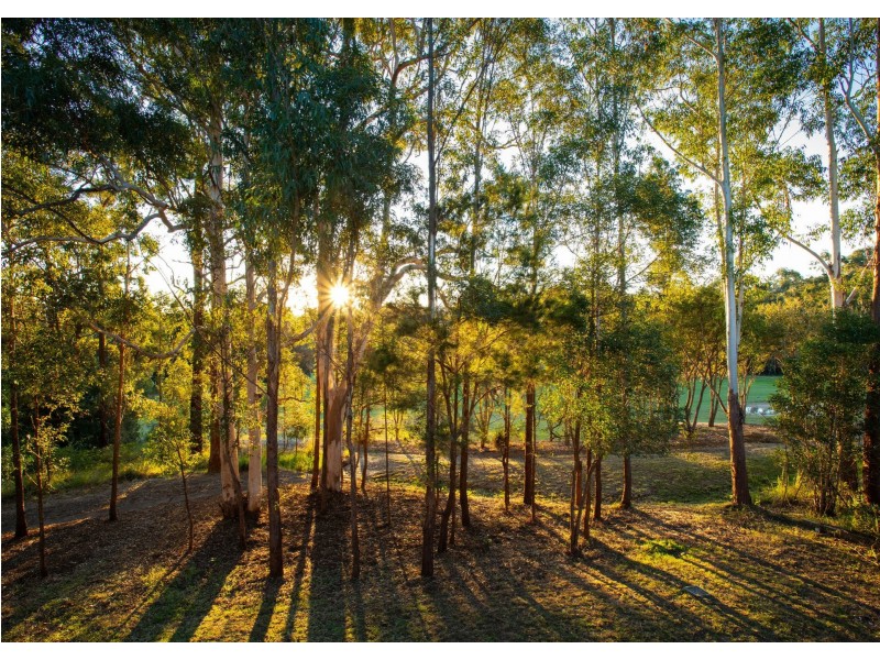 9 The Sand Trap, Tallwoods Village NSW 2430