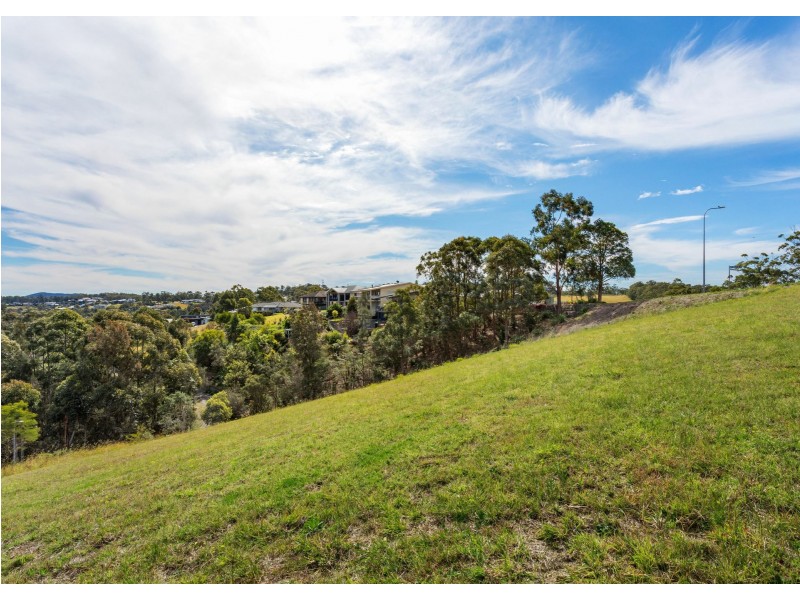 45 Coastal View Drive, Tallwoods Village NSW 2430