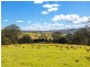 204 Beech Road, Elands NSW 2429