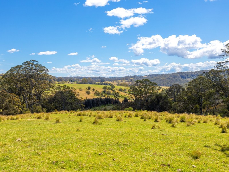 204 Beech Road, Elands NSW 2429