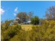 204 Beech Road, Elands NSW 2429