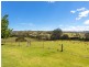 204 Beech Road, Elands NSW 2429