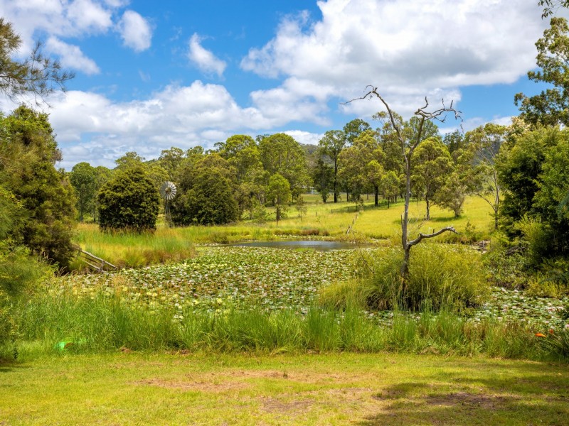 852 Wang Wauk Road, Wang Wauk NSW 2423