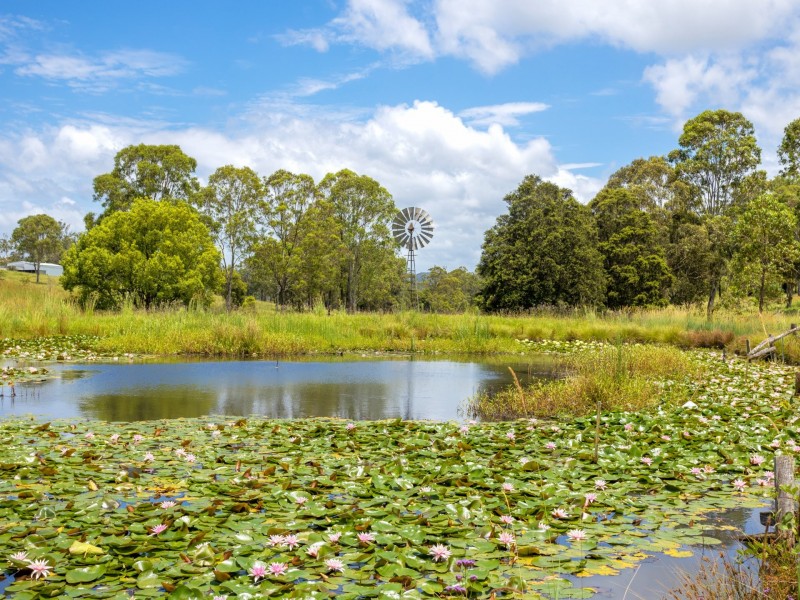 852 Wang Wauk Road, Wang Wauk NSW 2423