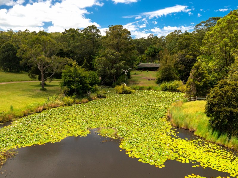 852 Wang Wauk Road, Wang Wauk NSW 2423