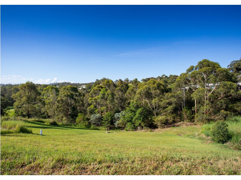 9 Camellia Close, Tallwoods Village NSW 2430