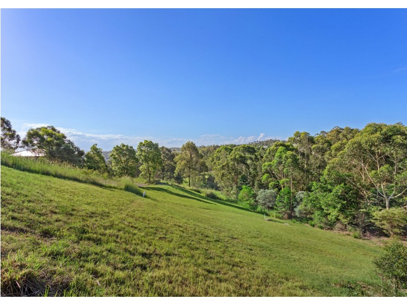 9 Camellia Close, Tallwoods Village NSW 2430