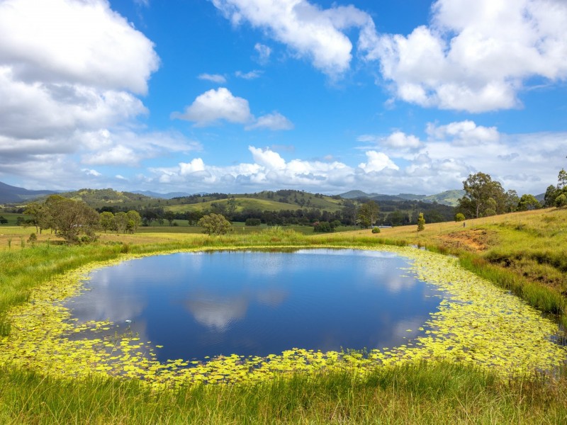 48 Inglewood Close, Wherrol Flat NSW 2429