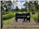 18 Terragong Road, Upper Lansdowne NSW 2430
