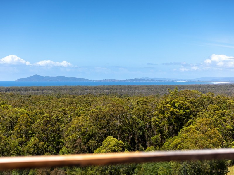 31 Eastern Valley Way, Tallwoods Village NSW 2430