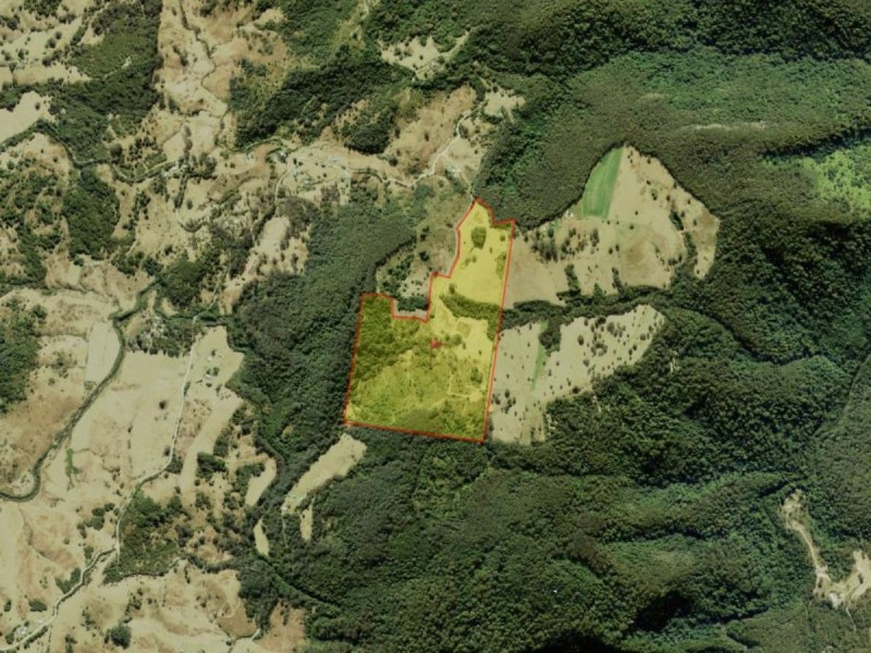 52 Lyre Bird Lane, Elands NSW 2429