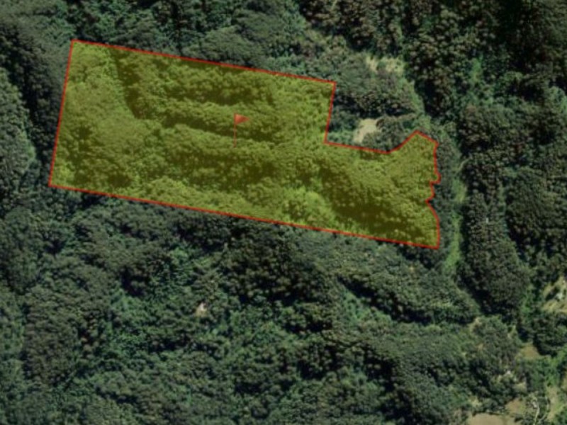 443 Koppin Yarratt Road, Upper Lansdowne NSW 2430