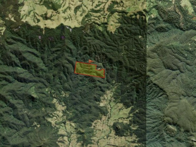 443 Koppin Yarratt Road, Upper Lansdowne NSW 2430