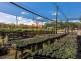 Parkland Wholesale Nursery, Tinonee NSW 2430