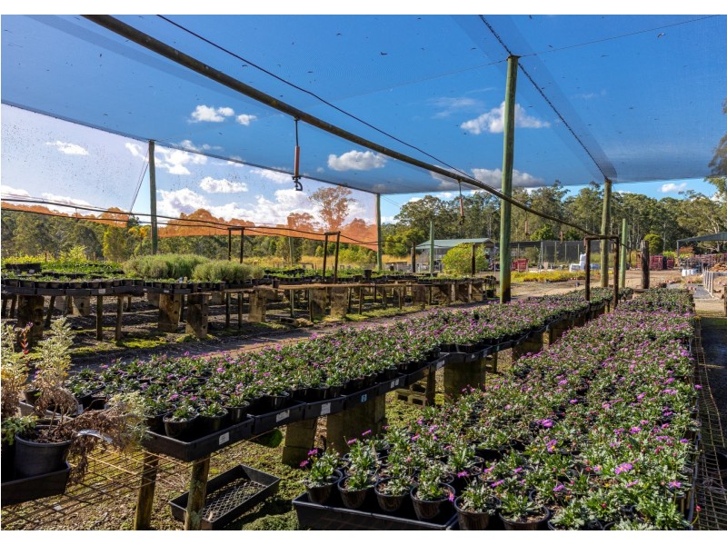 Parkland Wholesale Nursery, Tinonee NSW 2430