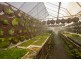 Parkland Wholesale Nursery, Tinonee NSW 2430