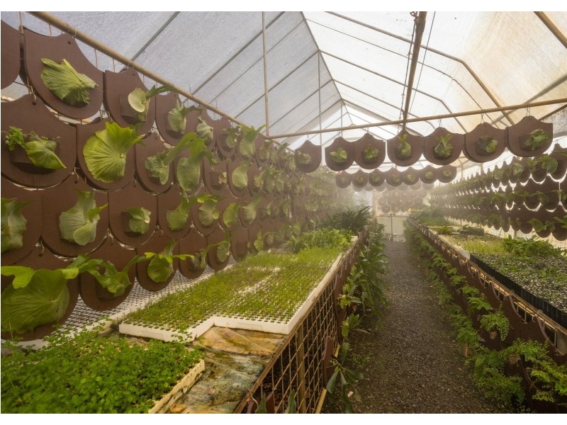 Parkland Wholesale Nursery, Tinonee NSW 2430