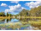 Parkland Wholesale Nursery, Tinonee NSW 2430