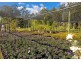 Parkland Wholesale Nursery, Tinonee NSW 2430