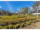 Parkland Wholesale Nursery, Tinonee NSW 2430
