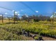 Parkland Wholesale Nursery, Tinonee NSW 2430