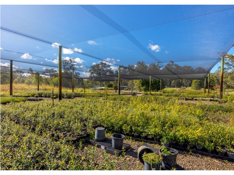 Parkland Wholesale Nursery, Tinonee NSW 2430