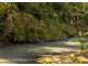 Parkland Wholesale Nursery, Tinonee NSW 2430