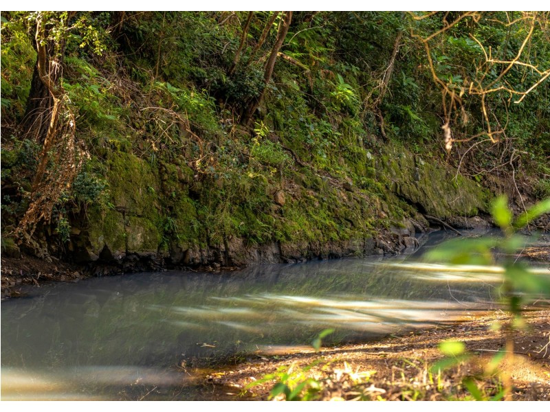 Parkland Wholesale Nursery, Tinonee NSW 2430