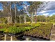 Parkland Wholesale Nursery, Tinonee NSW 2430