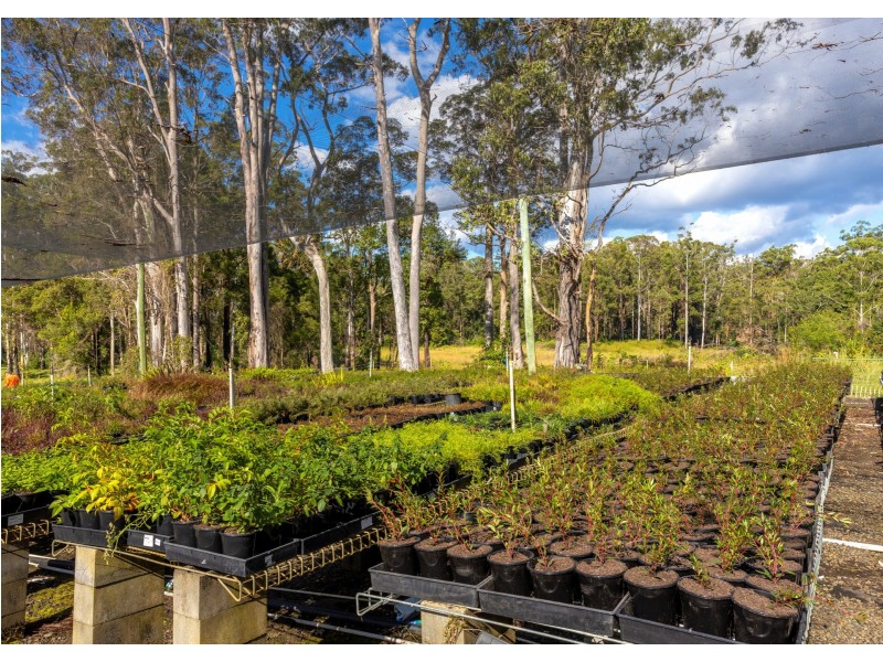 Parkland Wholesale Nursery, Tinonee NSW 2430