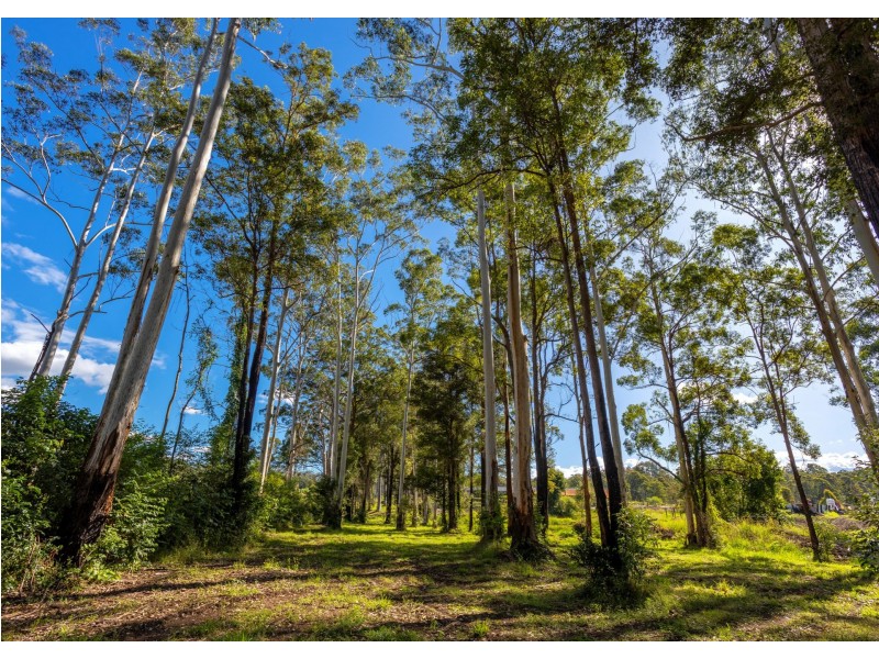 Parkland Wholesale Nursery, Tinonee NSW 2430