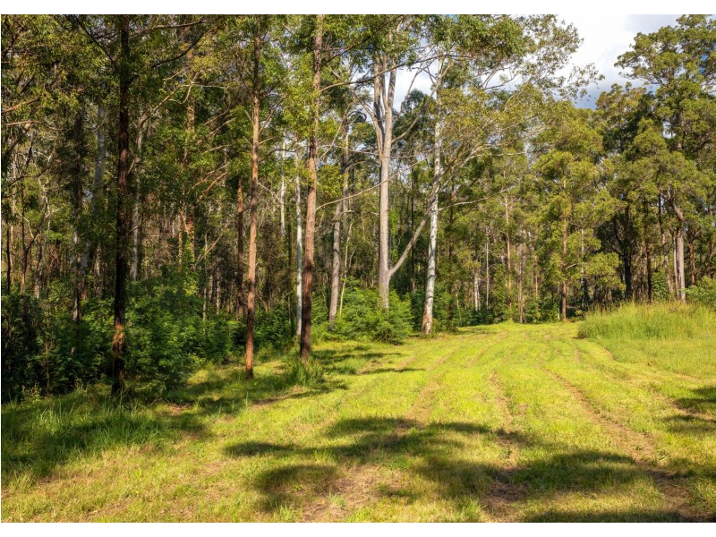 Parkland Wholesale Nursery, Tinonee NSW 2430