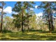 Parkland Wholesale Nursery, Tinonee NSW 2430
