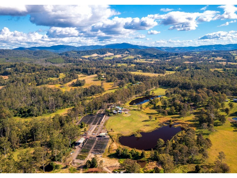 159 Bull Hill Road, Tinonee NSW 2430
