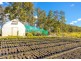 159 Bull Hill Road, Tinonee NSW 2430