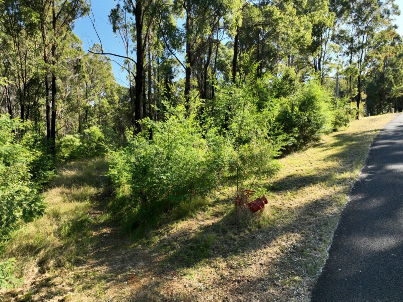 8 Koorainghat Close, Rainbow Flat NSW 2430
