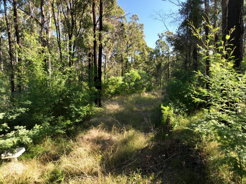 8 Koorainghat Close, Rainbow Flat NSW 2430